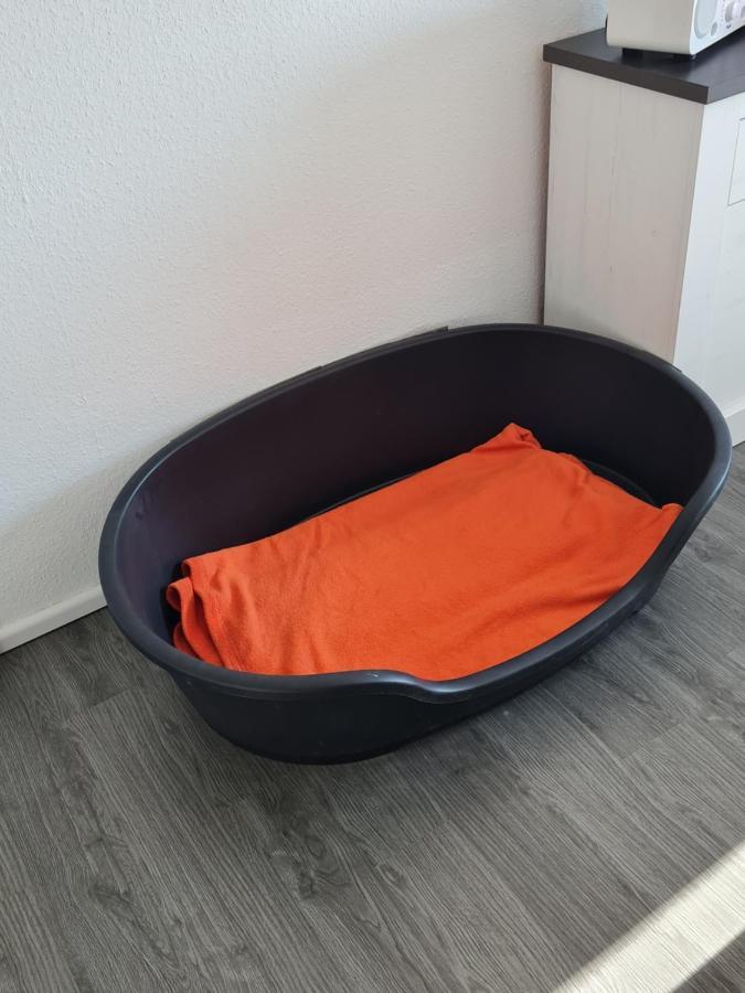 גוסלר Ferienwohnung Annett & Matthias Hahnenklee מראה חיצוני תמונה